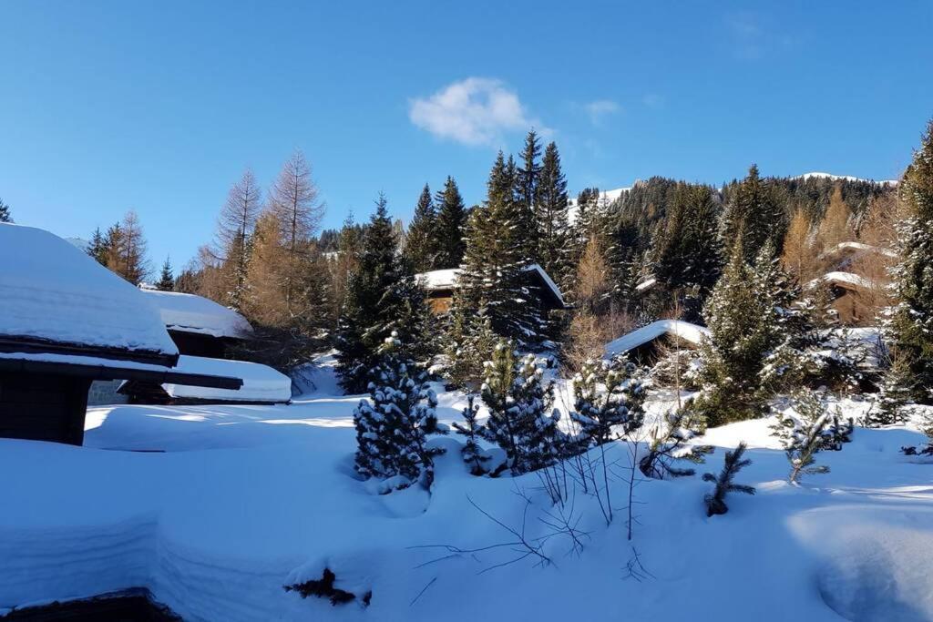 Chalet Wulli In Der Naehe Der Skianlagen Savognin Exteriér fotografie