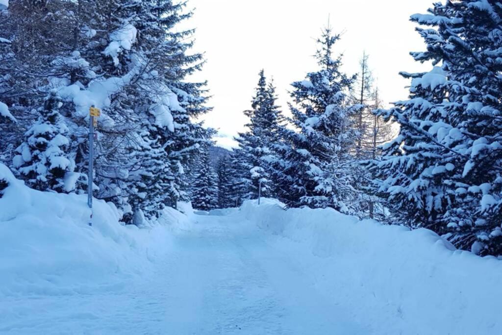 Chalet Wulli In Der Naehe Der Skianlagen Savognin Exteriér fotografie