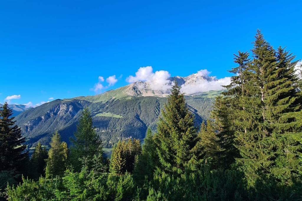 Chalet Wulli In Der Naehe Der Skianlagen Savognin Exteriér fotografie