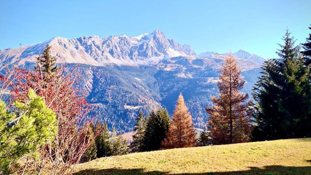 Chalet Wulli In Der Naehe Der Skianlagen Savognin Exteriér fotografie