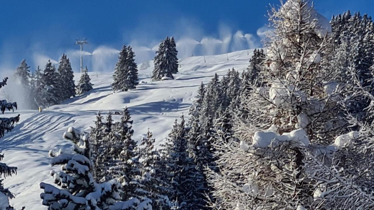 Chalet Wulli In Der Naehe Der Skianlagen Savognin Exteriér fotografie